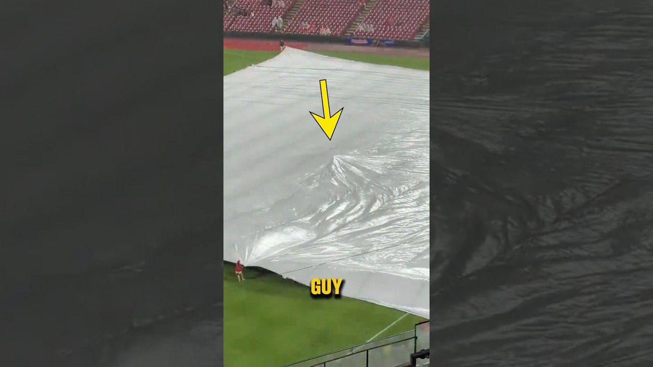 He Got Lost Under The Tarp? #shorts