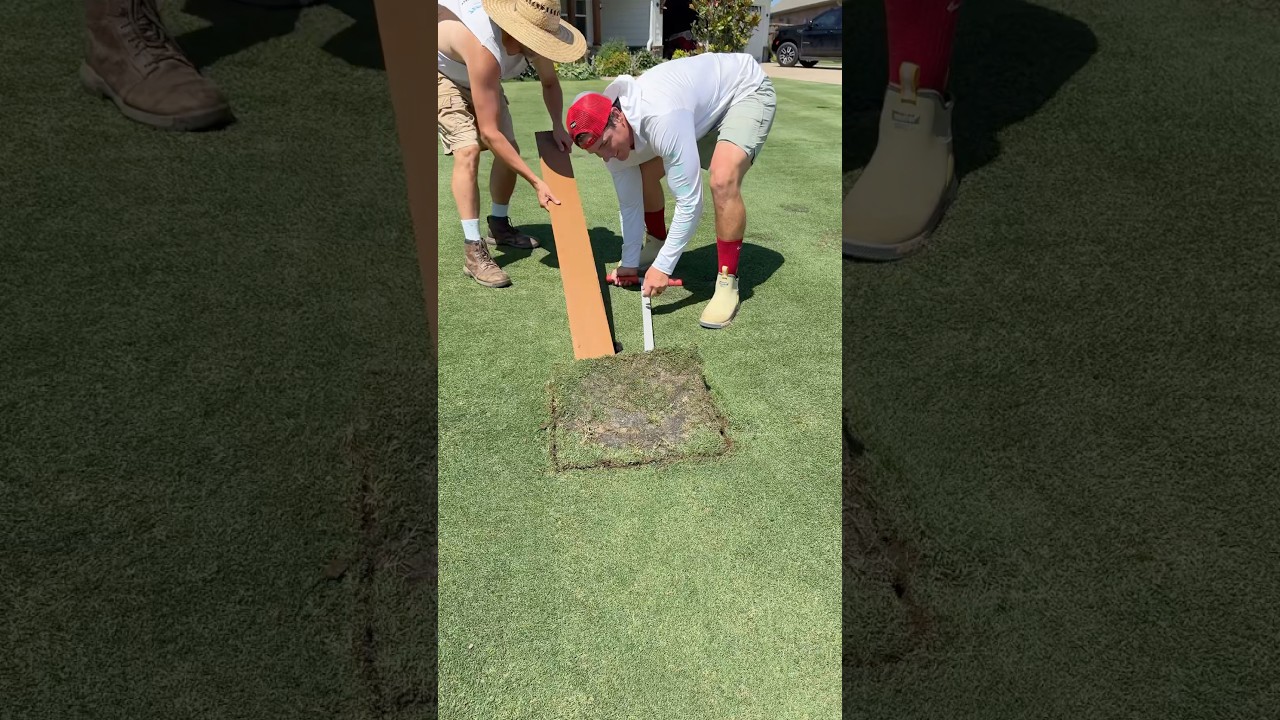 Fixing the Lawn